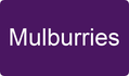 Mulburries